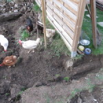 Entfernen Beton aus Garten